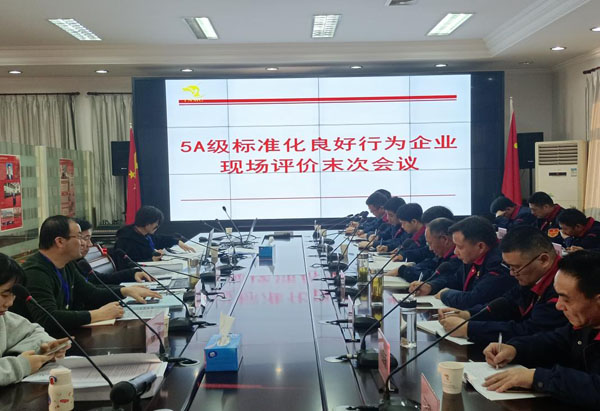 省標(biāo)準化評審組到公司開展評審工作